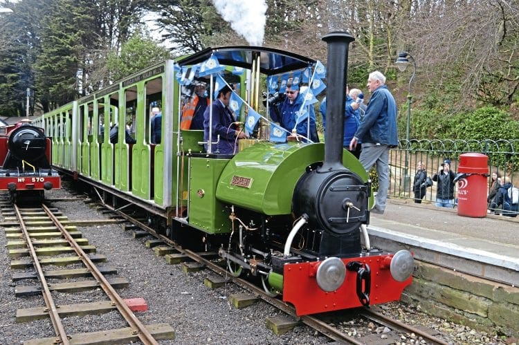 narrow gauge steam locomotive