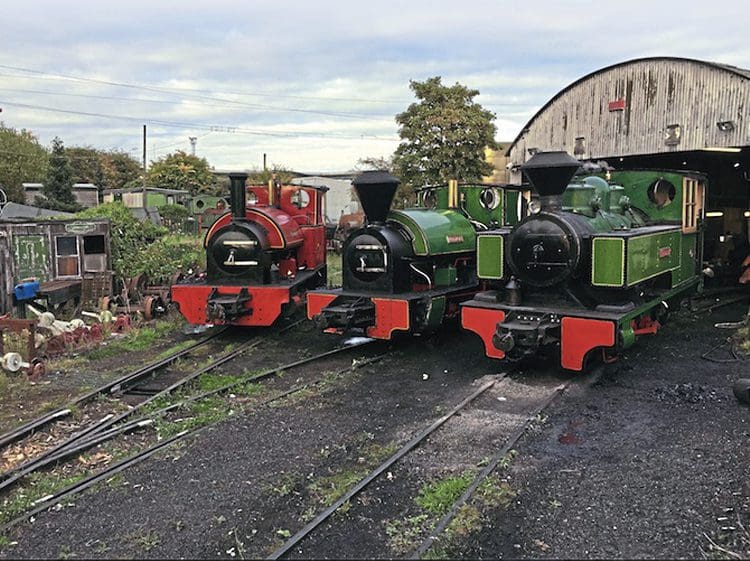 Preserved Steam in Brazil